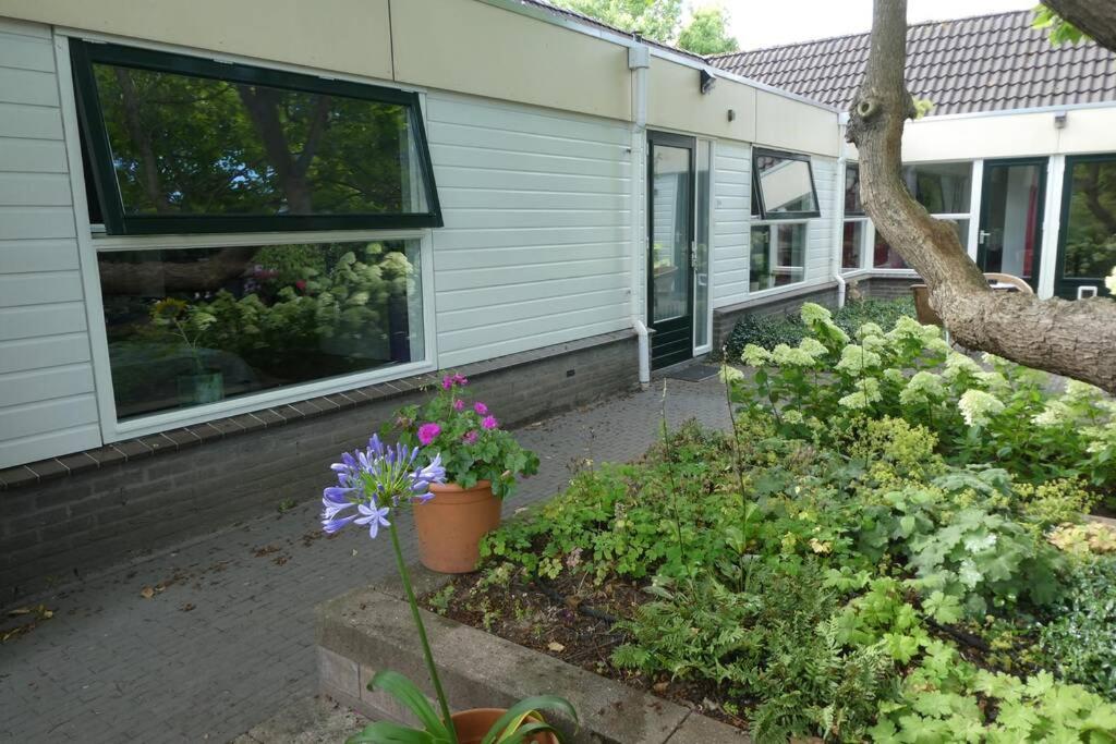 Huis Bij De Catalpa Dordrecht Extérieur photo